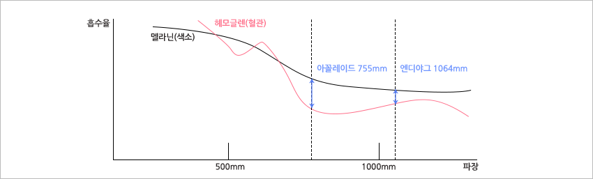 아꼴레이드